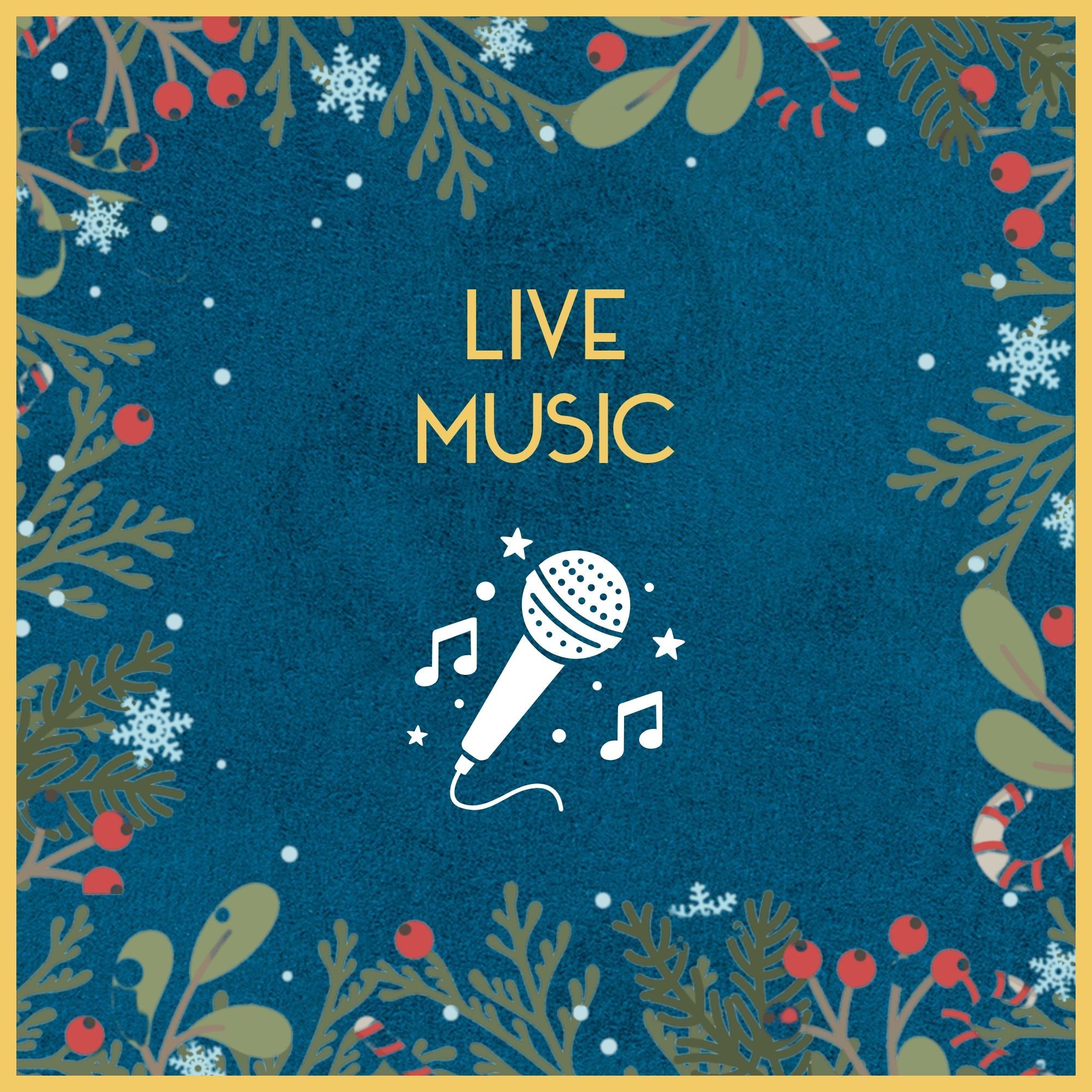 Live Music Singer